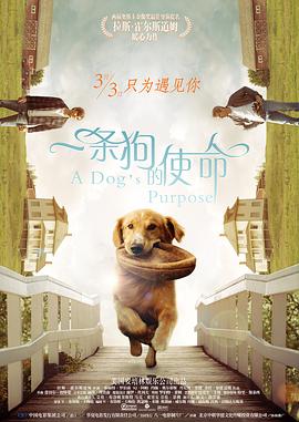 国产精品福利片